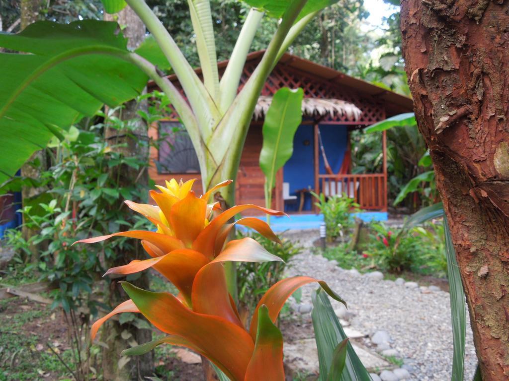 Casitas Las Flores Puerto Viejo de Talamanca Exteriör bild